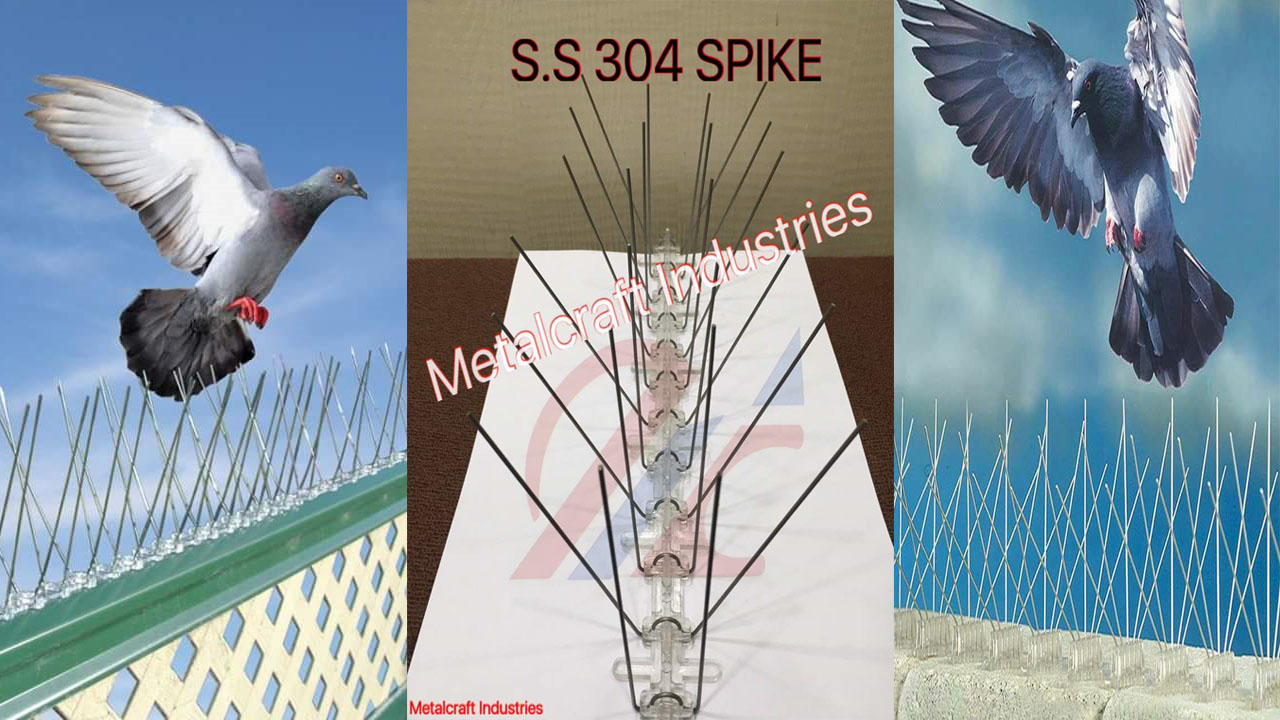 Bird Spikes In Nampally