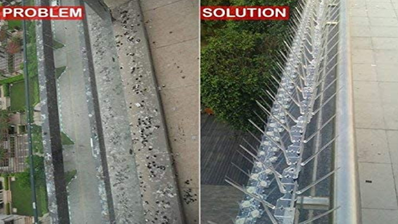 Bird Spikes In Mallapur