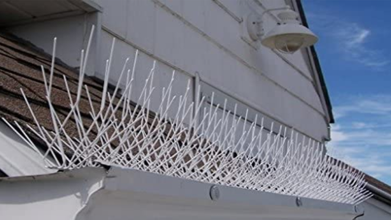 Bird Spikes in Boat club road