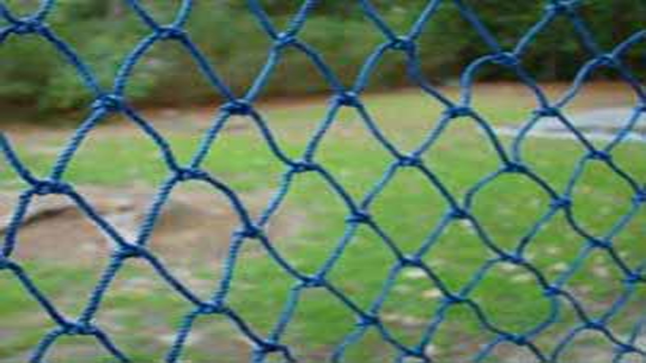 Nylon Nets Price in Pune