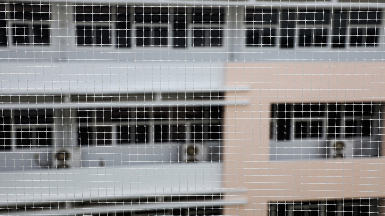 Pigeon Safety Net in Nampally 