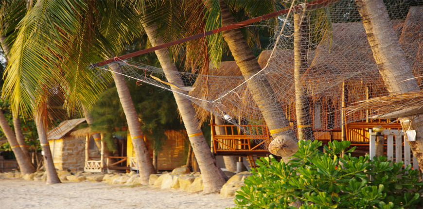 Coconut Safety Nets